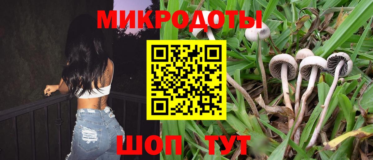 Галлюциногенные грибы Cubensis  Вход с VPN  Псилоцибиновые грибы Magic Shrooms  как найти наркотики  Кингисепп 