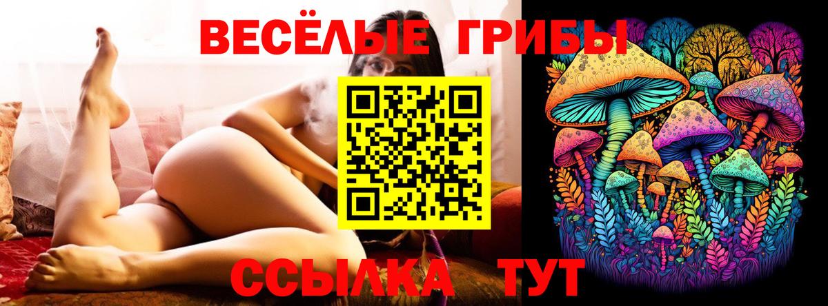 Галлюциногенные грибы Psilocybine cubensis Кингисепп