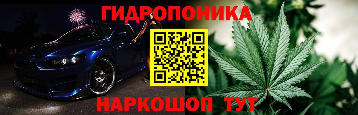 Канабис SATIVA & INDICA  Марихуана семена  Конопля Bruce Banner  Конопля Amnesia  Кингисепп  Вход с VPN 